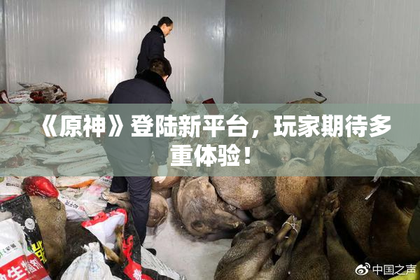 《原神》登陆新平台，玩家期待多重体验！