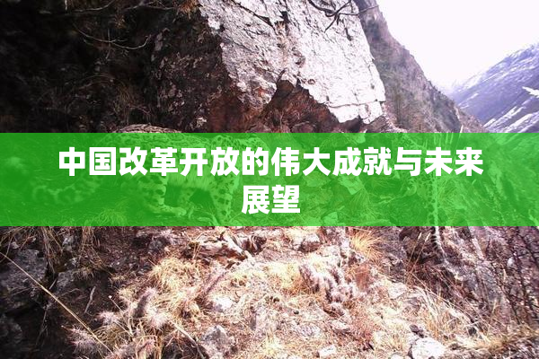 中国改革开放的伟大成就与未来展望