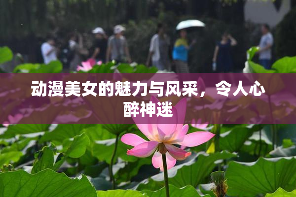 动漫美女的魅力与风采，令人心醉神迷