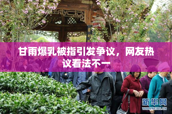 甘雨爆乳被指引发争议，网友热议看法不一