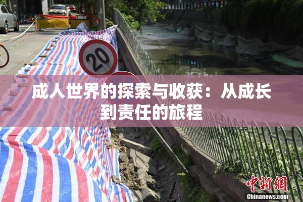 成人世界的探索与收获：从成长到责任的旅程