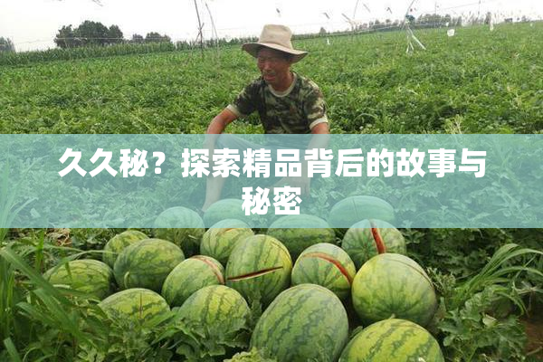 久久秘？探索精品背后的故事与秘密