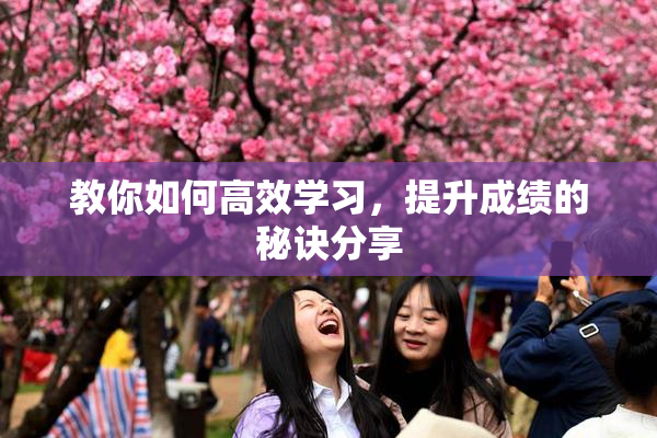 教你如何高效学习，提升成绩的秘诀分享
