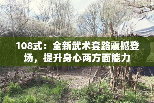 108式：全新武术套路震撼登场，提升身心两方面能力