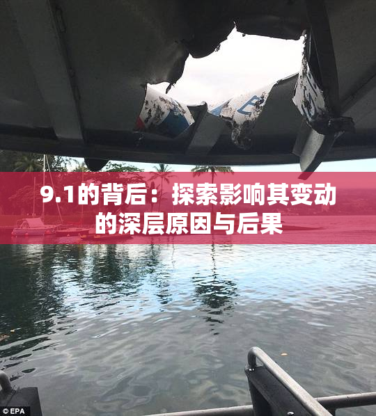 9.1的背后：探索影响其变动的深层原因与后果