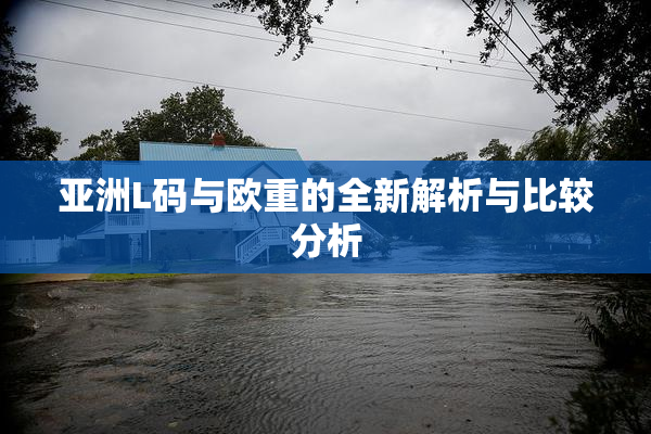 亚洲L码与欧重的全新解析与比较分析