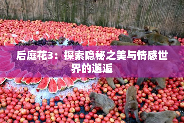 后庭花3：探索隐秘之美与情感世界的邂逅