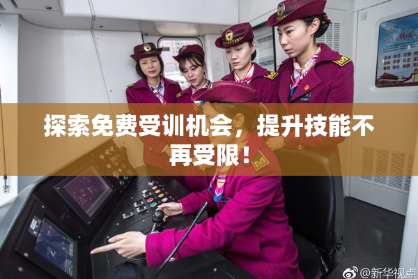 探索免费受训机会，提升技能不再受限！