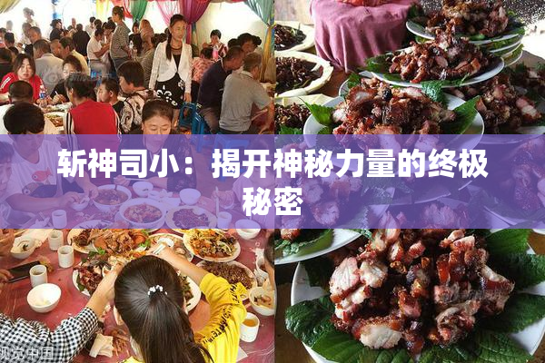 斩神司小：揭开神秘力量的终极秘密