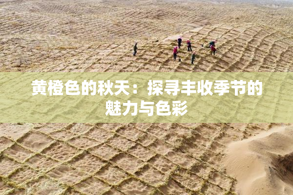 黄橙色的秋天：探寻丰收季节的魅力与色彩