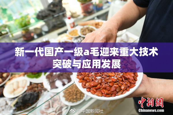 新一代国产一级a毛迎来重大技术突破与应用发展