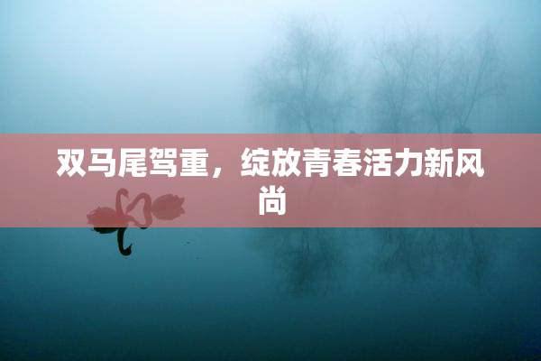 双马尾驾重，绽放青春活力新风尚