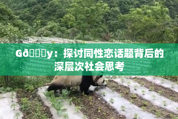 G🈚y：探讨同性恋话题背后的深层次社会思考