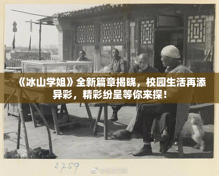 《冰山学姐》全新篇章揭晓，校园生活再添异彩，精彩纷呈等你来探！
