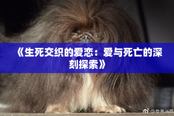 《生死交织的爱恋：爱与死亡的深刻探索》