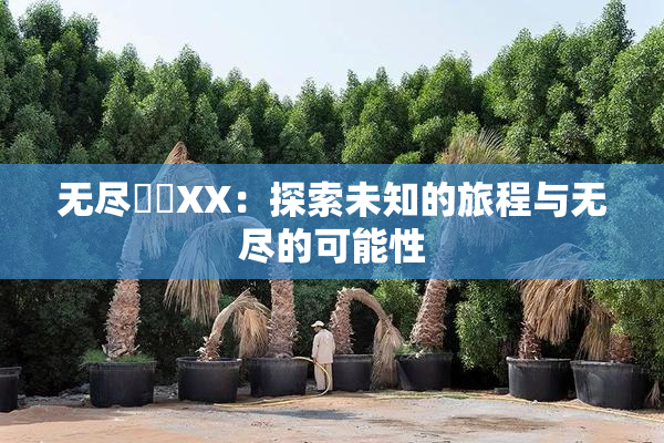 无尽❌‌XX：探索未知的旅程与无尽的可能性