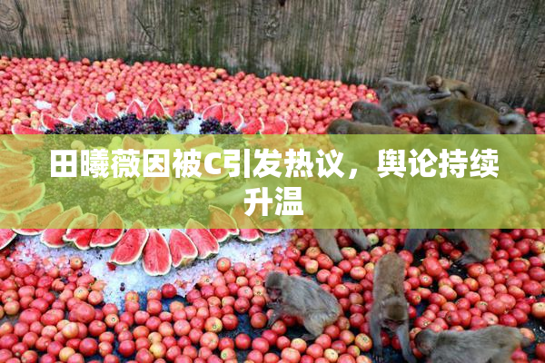 田曦薇因被C引发热议，舆论持续升温