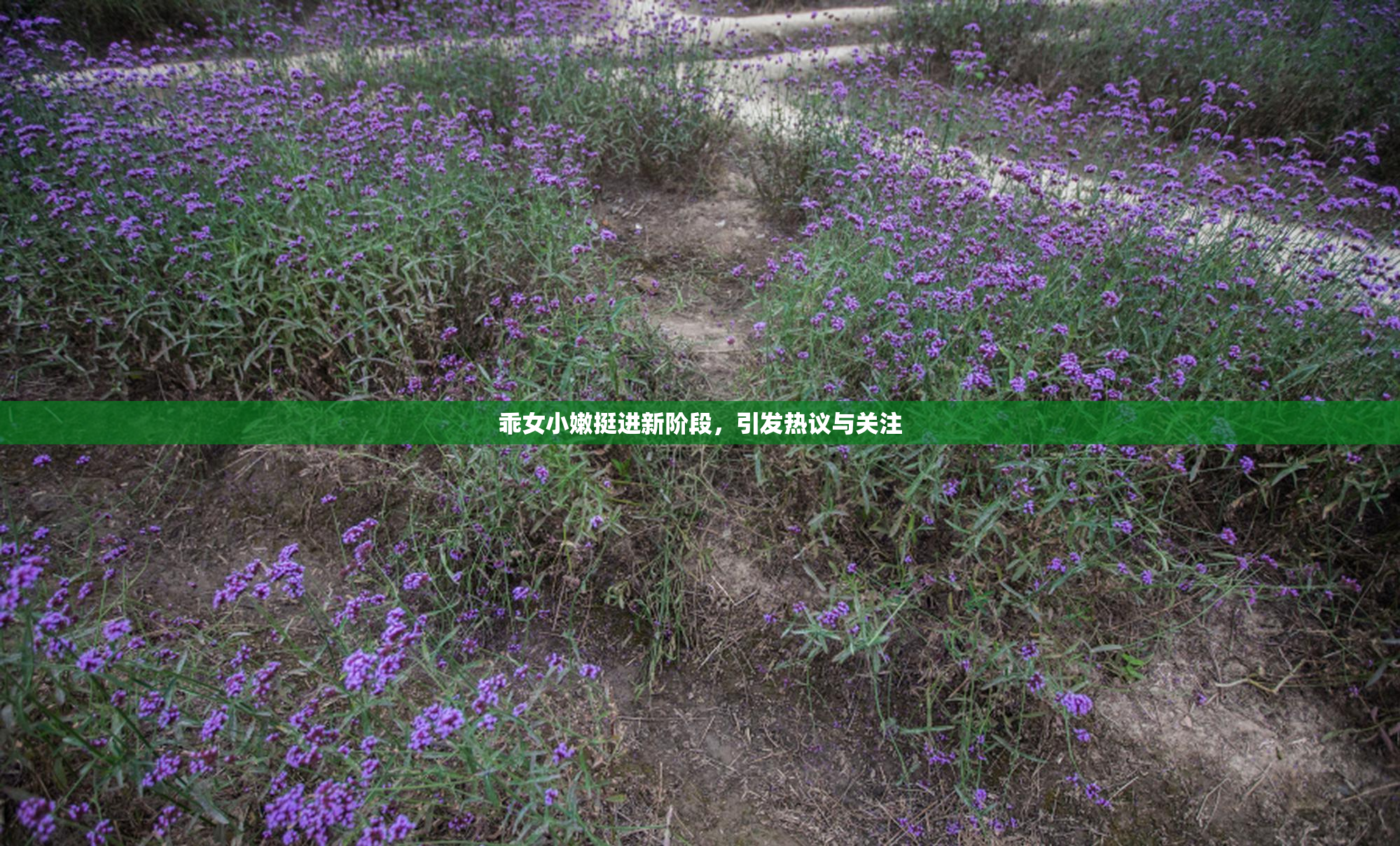 乖女小嫩挺进新阶段，引发热议与关注