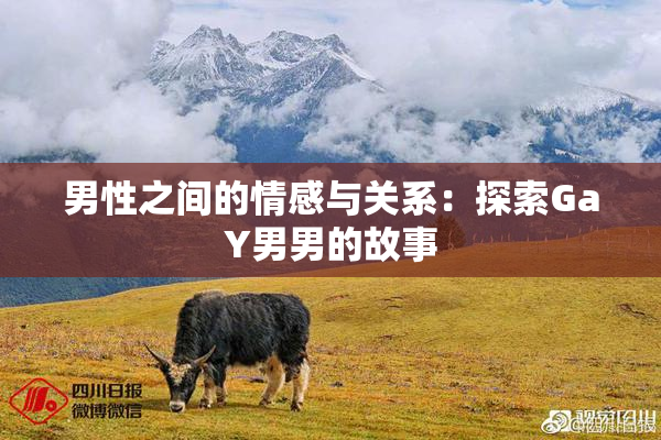 男性之间的情感与关系：探索GaY男男的故事