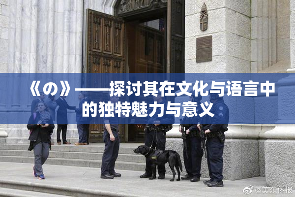 《の》——探讨其在文化与语言中的独特魅力与意义