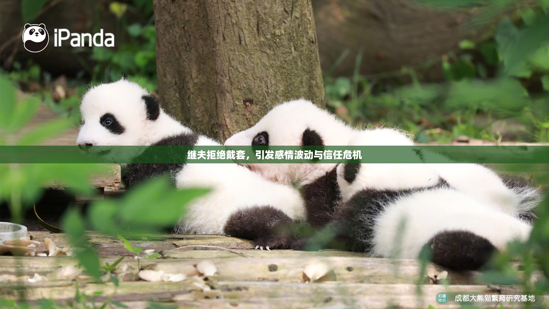 继夫拒绝戴套，引发感情波动与信任危机