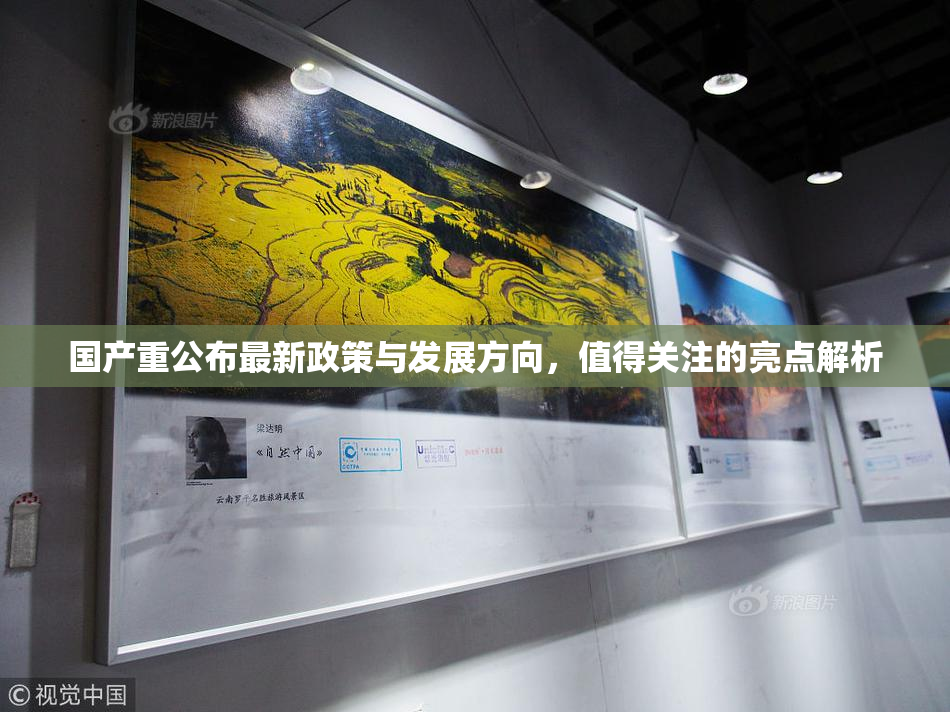 国产重公布最新政策与发展方向，值得关注的亮点解析