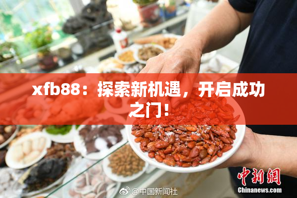 xfb88：探索新机遇，开启成功之门！