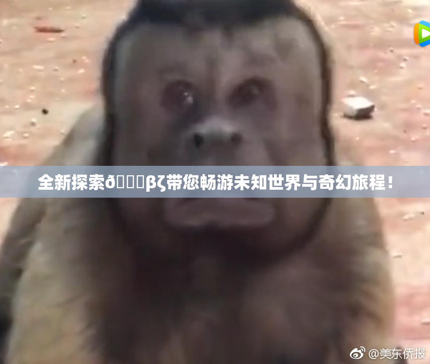 全新探索👙βζ带您畅游未知世界与奇幻旅程！