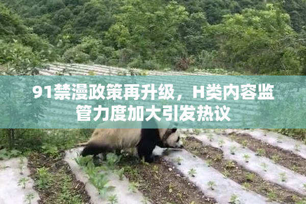 91禁漫政策再升级，H类内容监管力度加大引发热议