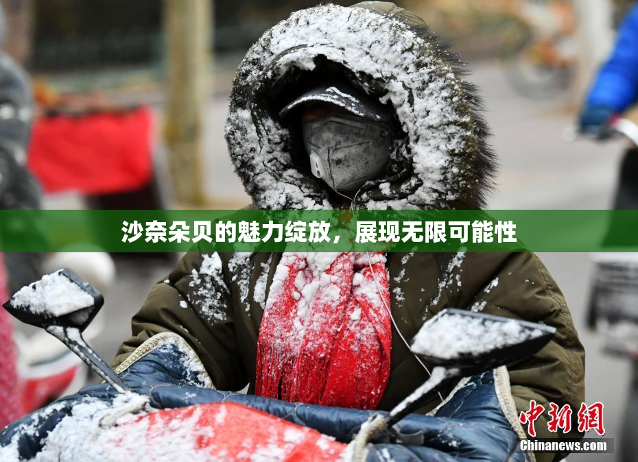 沙奈朵贝的魅力绽放，展现无限可能性
