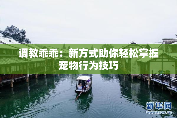 调教乖乖：新方式助你轻松掌握宠物行为技巧