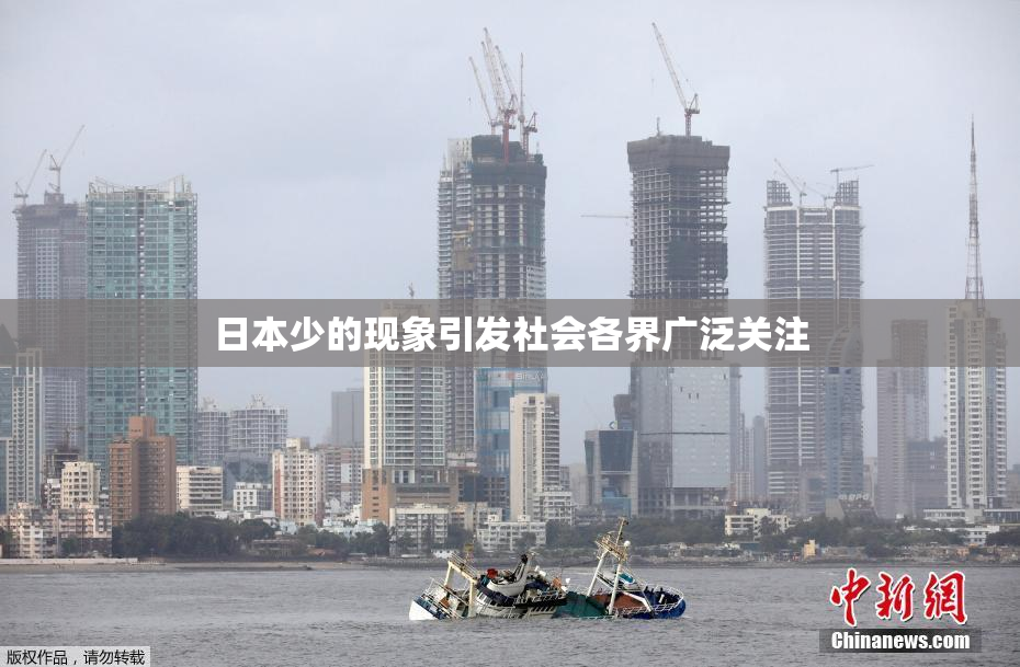 日本少的现象引发社会各界广泛关注