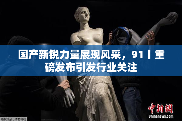 国产新锐力量展现风采，91丨重磅发布引发行业关注
