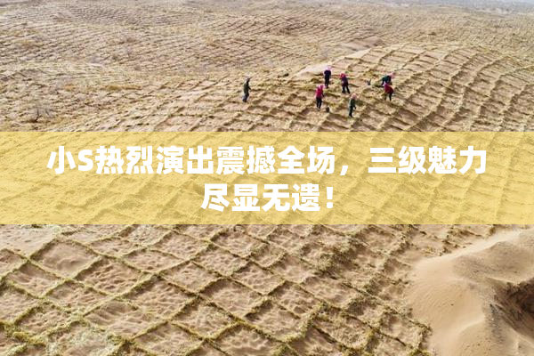 小S热烈演出震撼全场，三级魅力尽显无遗！