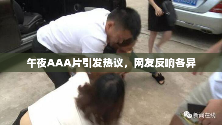 午夜AAA片引发热议，网友反响各异