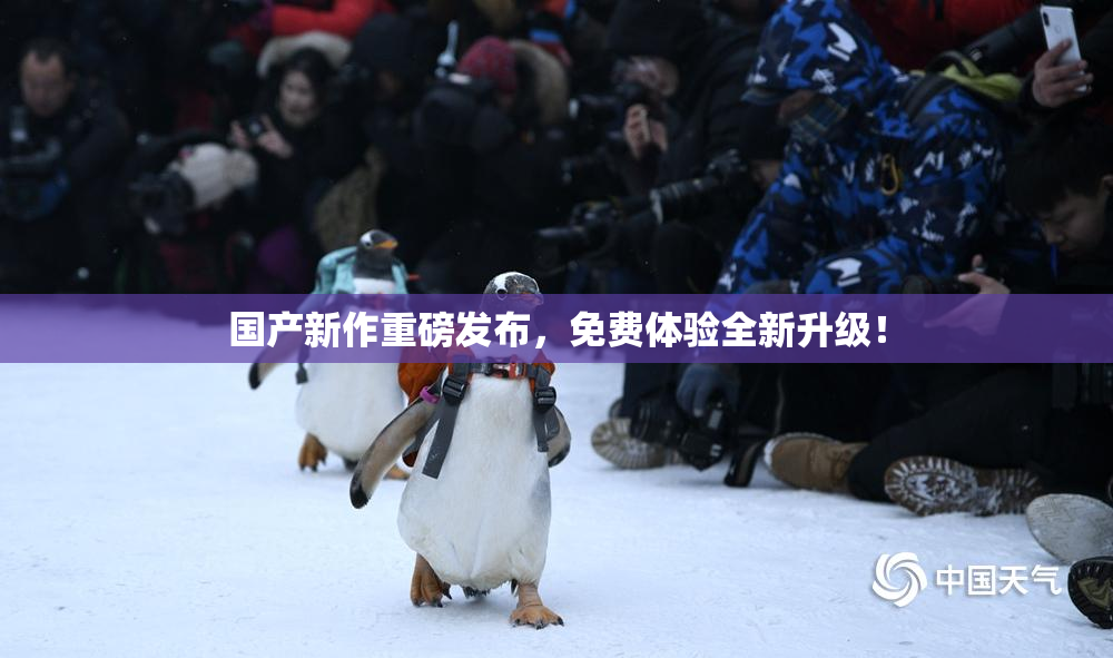 国产新作重磅发布，免费体验全新升级！