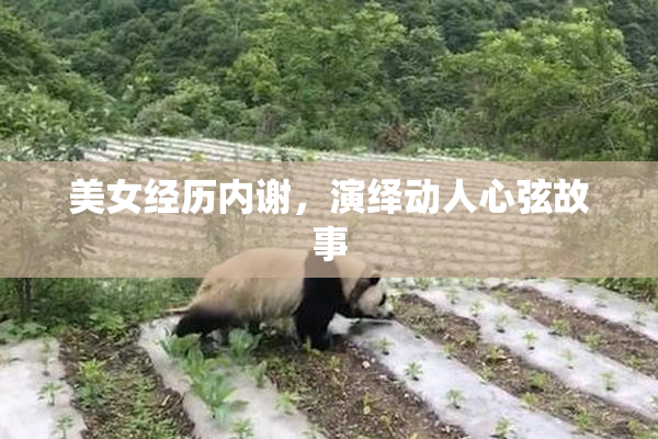 美女经历内谢，演绎动人心弦故事