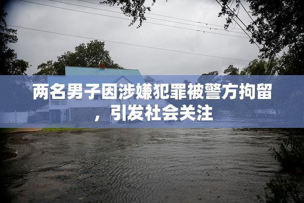 两名男子因涉嫌犯罪被警方拘留，引发社会关注