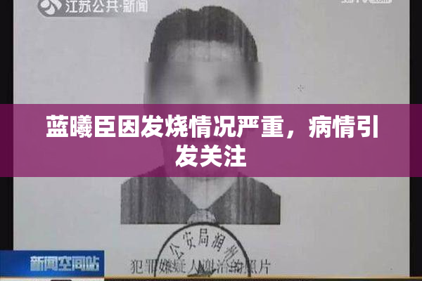 蓝曦臣因发烧情况严重，病情引发关注