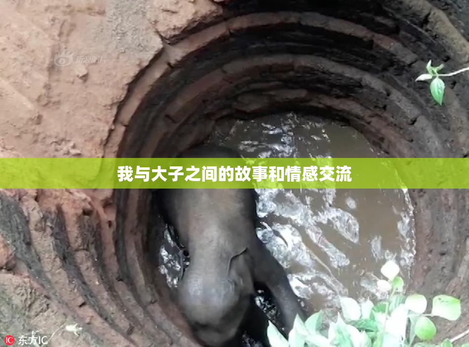 我与大子之间的故事和情感交流