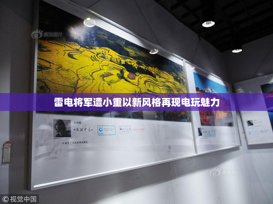 雷电将军遭小重以新风格再现电玩魅力