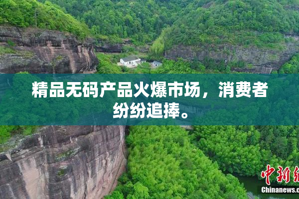精品无码产品火爆市场，消费者纷纷追捧。