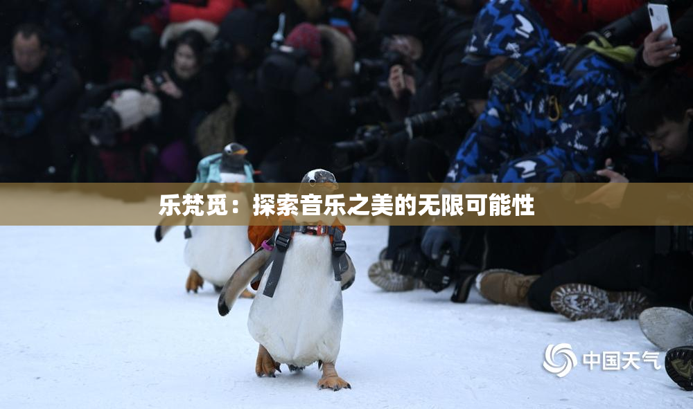 乐梵觅：探索音乐之美的无限可能性