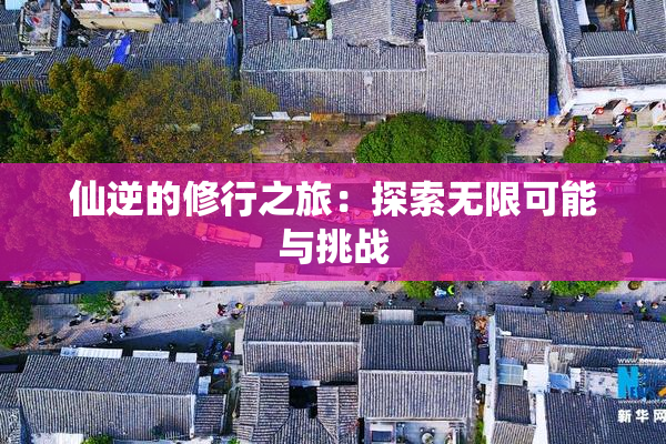 仙逆的修行之旅：探索无限可能与挑战