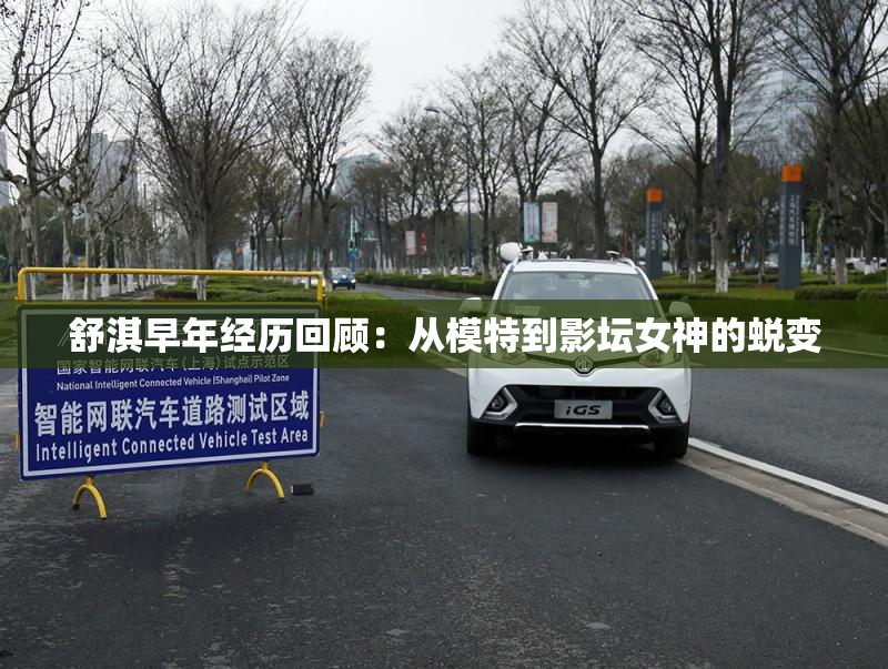 舒淇早年经历回顾：从模特到影坛女神的蜕变