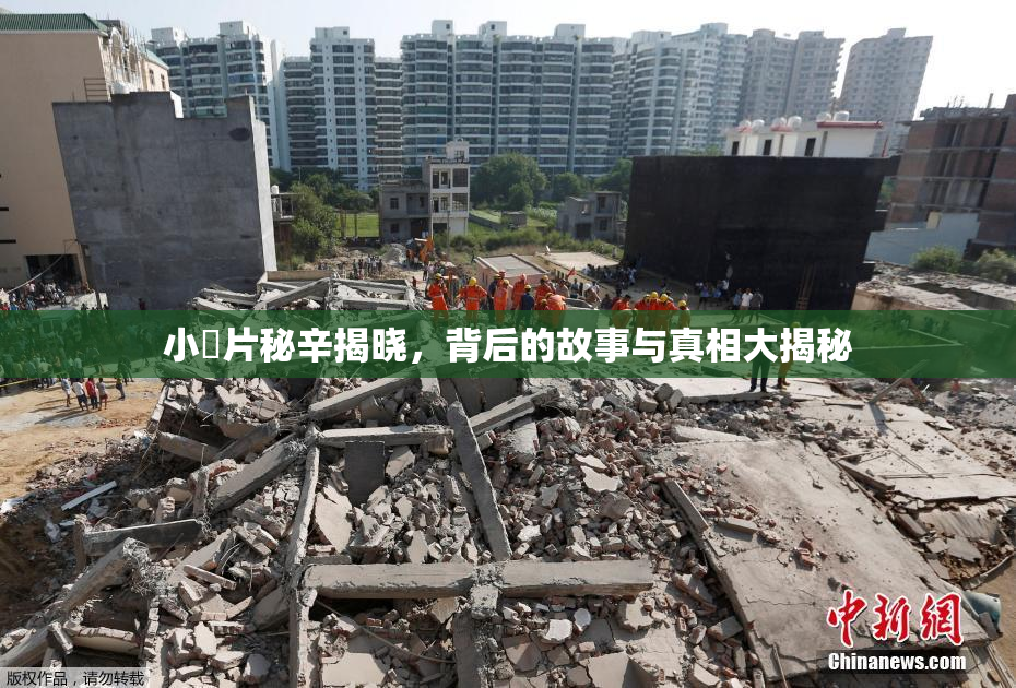 小黃片秘辛揭晓，背后的故事与真相大揭秘