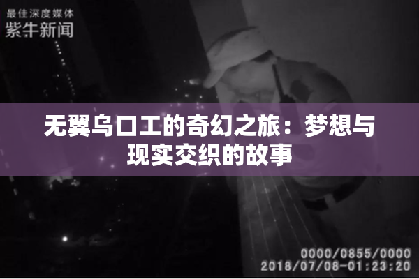 无翼乌口工的奇幻之旅：梦想与现实交织的故事