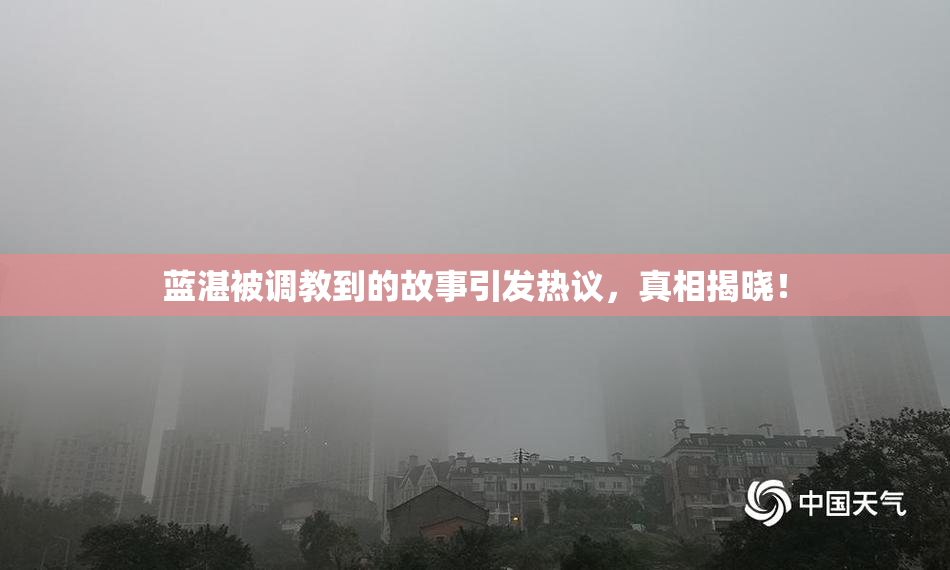 蓝湛被调教到的故事引发热议，真相揭晓！