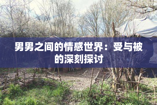 男男之间的情感世界：受与被的深刻探讨