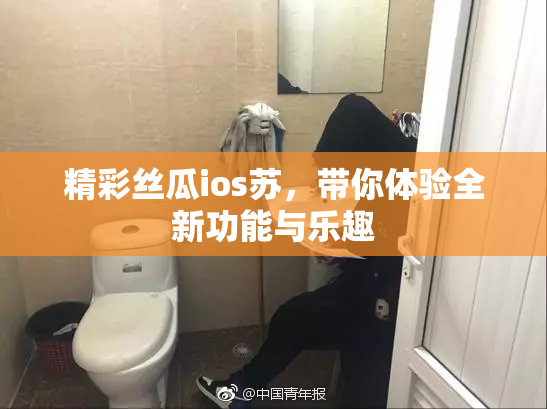 精彩丝瓜ios苏，带你体验全新功能与乐趣